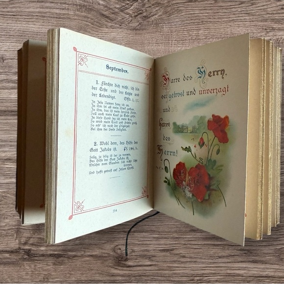 Antique German Birthday Book - Christian Remembrance 1880-1900 - Picture 6 of 9